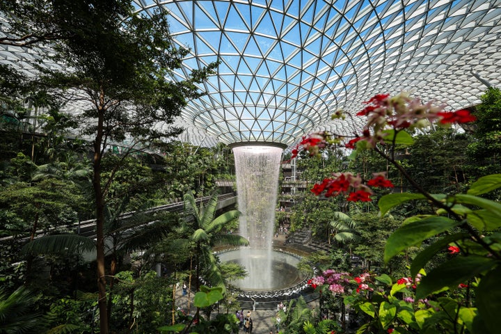 Singapore's famous airport green spaces include the world's tallest indoor waterfall.